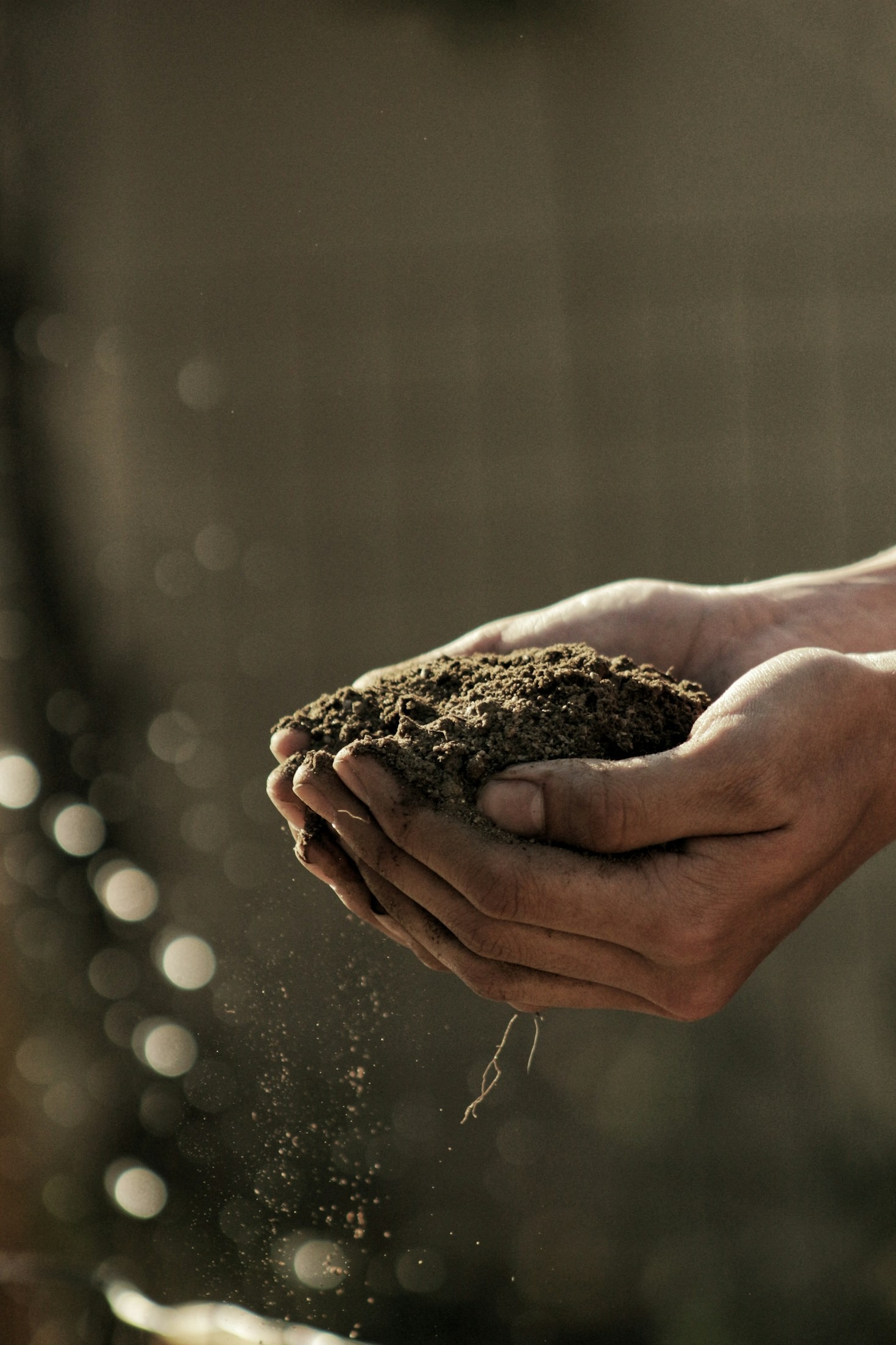Fostering a Healthier Planet Through Innovative Farming